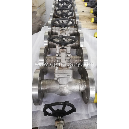 F321 Forged Gate Valve